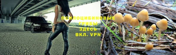 каннабис Верхний Тагил