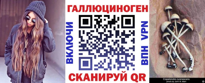 Купить Белокуриха Псилоцибиновые грибы мухоморы