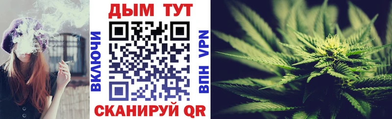 Купить где  Белокуриха  Бошки марихуана SATIVA & INDICA 